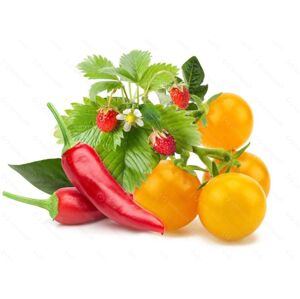Click and Grow Kapsle Smart Garden - mix ovoce a zeleniny Click and Grow 6667