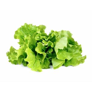 Click and Grow Kapsle Smart Garden - Hlávkový salát, Click and Grow 6685