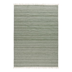 Zelený venkovní koberec z recyklovaného plastu Universal Liso, 160 x 230 cm