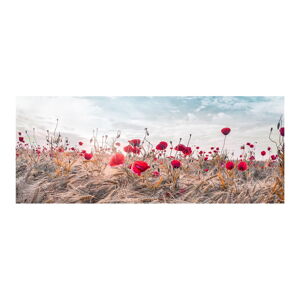 Obraz na plátně Styler Poppies, 60 x 150 cm