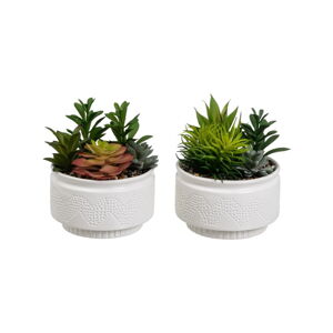 Umělé rostliny v sadě 2 ks (výška 19 cm) Cactus – Casa Selección