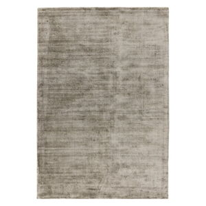 Hnědý koberec 170x120 cm Blade - Asiatic Carpets