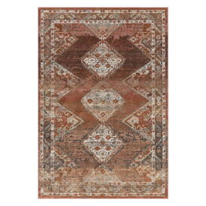 Červeno-hnědý koberec 290x195 cm Zola - Asiatic Carpets