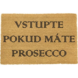 Rohožka z přírodního kokosového vlákna Artsy Doormats Prosecco, 40 x 60 cm
