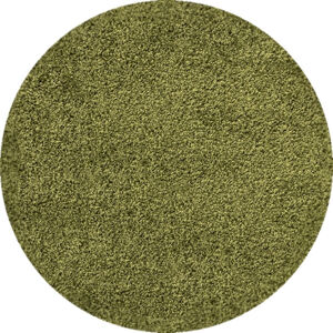 Ayyildiz Kruhový koberec Dream Shaggy 4000 – zelená 120x120 (průměr) kruh