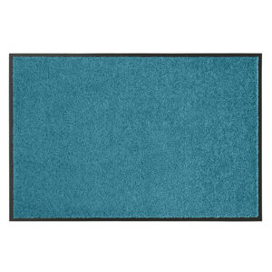 Hanse Home Rohožka Wash & Clean 102045 modrá 40x60 cm