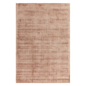 Oranžovo-hnědý koberec 290x200 cm Aston - Asiatic Carpets