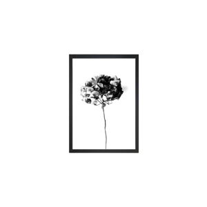 Plakát 24x29 cm Velvet Flower – Tablo Center
