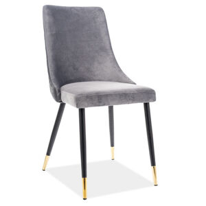 Casarredo Jídelní čalouněná židle NOPI velvet šedá/černá/zlatá
