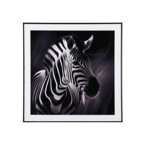 Obraz 50x50 cm  Zebra  – PT LIVING