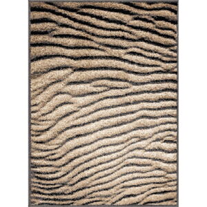 Hnědý koberec 160x220 cm Avanti – FD
