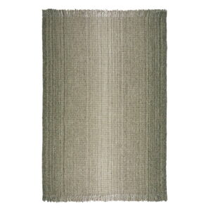 Zelený koberec 200x290 cm – Flair Rugs